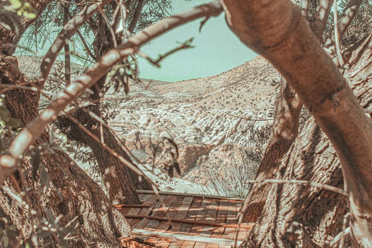 Hobbit Village Ḑānā Exterior foto